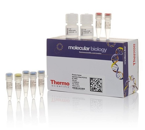 Набор для проведения прямой ПЦР Phusion Human Specimen Direct PCR Kit из образцов человека без предварительного выделения ДНК, Thermo FS Набор для проведения прямой ПЦР Phusion Human Specimen Direct PCR Kit из образцов человека без предварительного выделения ДНК, Thermo FS